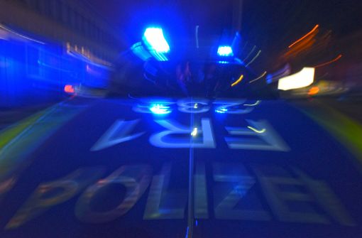 Ein 17-Jähriger wird am Dienstag von einer Jugendgang in Backnang verprügelt. Foto: dpa