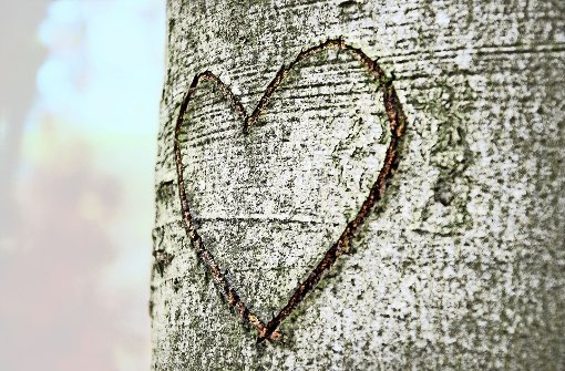 Viele denken, das Motiv für selbstverletzendes Verhalten sei der Wunsch nach Aufmerksamkeit – die meisten Jugendlichen wollen aber ihre  Emotionen  regulieren. Foto: Petair- Fotolia