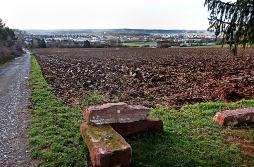 Das Neubaugebiet soll am westlichen Rand von Korntal entstehen. Foto: factum/Archiv