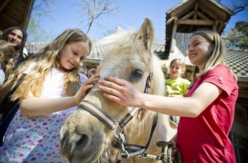 Im Elsental können Kinder frei mit ihrer Zeit umgehen - noch. Die Jugendfarmen im Raum Stuttgart sollen ihre Angebote der neuen Schullandschaft anpassen. Das stellt viele vor eine große Herausforderung Foto: Lichtgut/Max Kovalenko