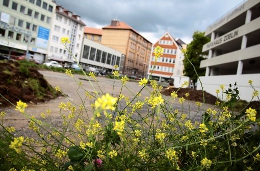 Auch die Blumen am Rand des Areals vermögen die Tristesse auf dem Platz am Züblin-Parkhaus nicht zu vertreiben. Foto: Ralf Recklies